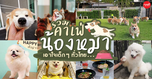 13 ร้านคาเฟ่น้องหมาน่านั่ง สำหรับคนที่รักสุนัข @โฮ่งทั่วไทย - Ryoii