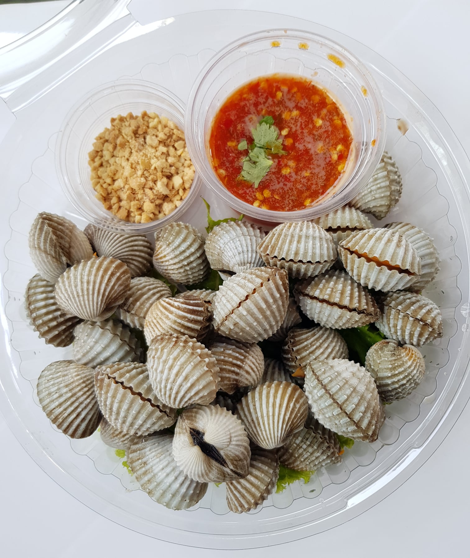 8 ร้านหอยแครงลวกรสเด็ด แซ่บสะเด็ดจนต้องซี๊ดปาก - Ryoii