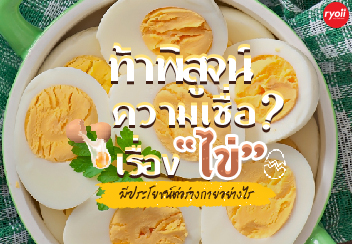 กินไข่วันละกี่ฟอง จึงจะดี และมีประโยชน์ต่อร่างกาย  ขอชวนท้าพิสูจน์ความเชื่อเรื่องไข่! - Ryoii