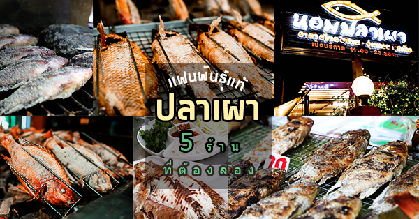5 ร้านที่คนรักปลาเผา ต้องมากินให้สบายพุงสักมื้อ
