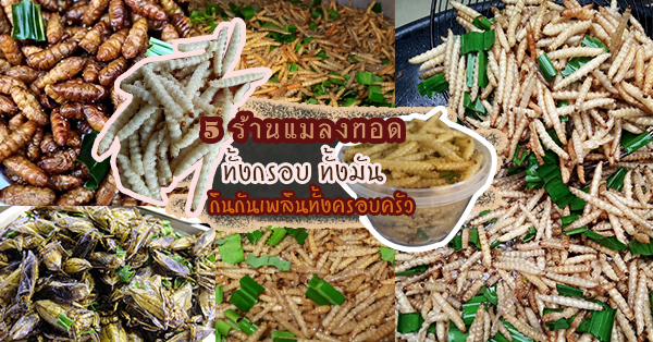 5 ร้านแมลงทอด ทั้งกรอบ ทั้งมัน ทานจนเพลินปาก ยากที่จะหยุด