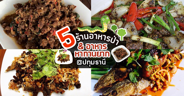 รวม 5 ร้านบรรยากาศธรรมชาติ มีอาหารป่า และเมนูหาทานยาก @ปทุมธานี