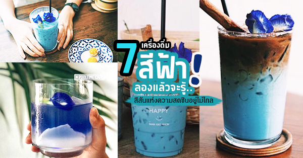 7 ร้านเครื่องดื่มสีฟ้าลองแล้วจะรู้สีสันแห่งความสดชื่นอยู่ไม่ไกล