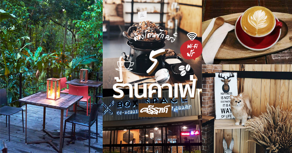 5 ร้านคาเฟ่ ศรีราชา ชลบุรี ฟรี Wifi ชิลเต็มที่นั่งได้ยาวๆ