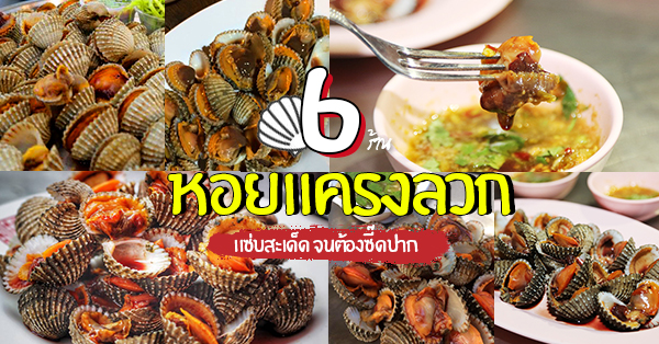 8 ร้านหอยแครงลวกรสเด็ด แซ่บสะเด็ดจนต้องซี๊ดปาก