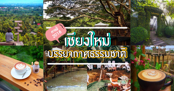 19 คาเฟ่เชียงใหม่บรรยากาศธรรมชาติ 2018 : วิวจัดเต็ม พร้อมหนีไปหนาว!!