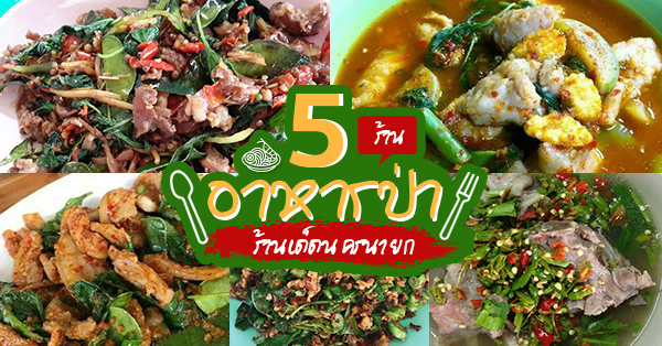 5 ร้านอาหารป่านครนายก ร้านเด็ดใครเห็นเป็นต้องแวะ