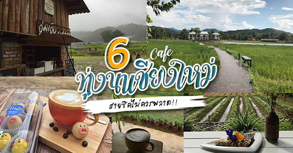 6 คาเฟ่ทุ่งนาเชียงใหม่บรรยากาศดี สายชิลห้ามพลาดสักครั้งต้องไปเช็คอิน