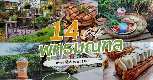 คาเฟ่พุทธมณฑล : บรรยากาศสบายๆ น่าเช็คอิน!