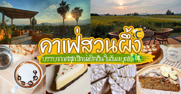 10 ร้านคาเฟ่สวนผึ้ง บรรยากาศสุดชิค น่าเช็คอินในวันหยุด