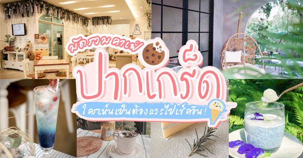 17 ร้านคาเฟ่ย่านปากเกร็ด ใครเห็นเป็นต้องแวะไปเช็คอิน