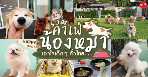 14 ร้านคาเฟ่น้องหมาน่านั่ง สำหรับคนที่รักสุนัข