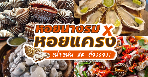 รวม 10 ร้าน เมนูหอยสดๆ หอยนางรม หอยแครง เดลิเวอรี