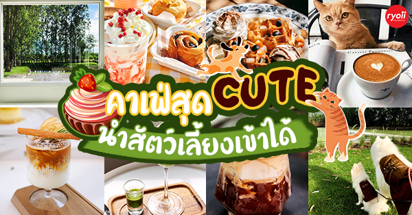 16 ร้านอาหาร & คาเฟ่นำสัตว์เลี้ยงเข้าได้ ฟินทั้งเจ้าของเเละน้องหมา-แมว