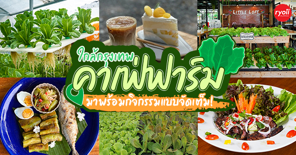 รวม 6 ร้านคาเฟ่ฟาร์ม เที่ยวชมธรรมชาติใกล้กรุงเทพฯ พร้อมกิจกรรมในฟาร์มให้ร่วมสนุกเพียบ