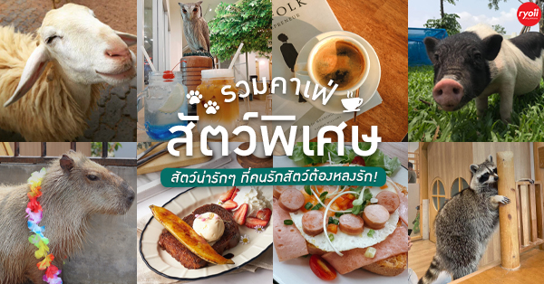 รวมร้านคาเฟ่ & ฟาร์มสัตว์พิเศษที่มนุษย์ไปเเล้วต้องหลงรัก