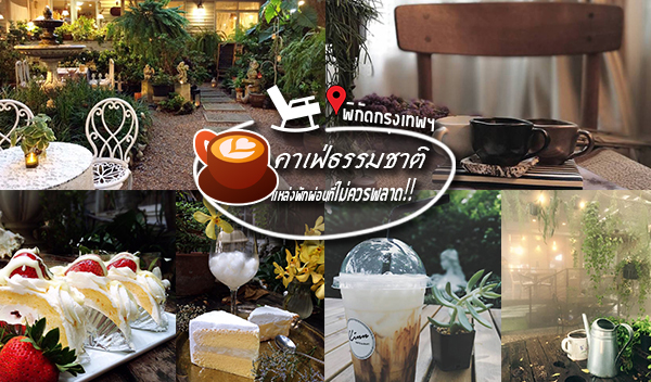 รวมร้านคาเฟ่ธรรมชาติสุดฟิน บรรยากาศเหมือนยกคาเฟ่มาไว้ในป่า