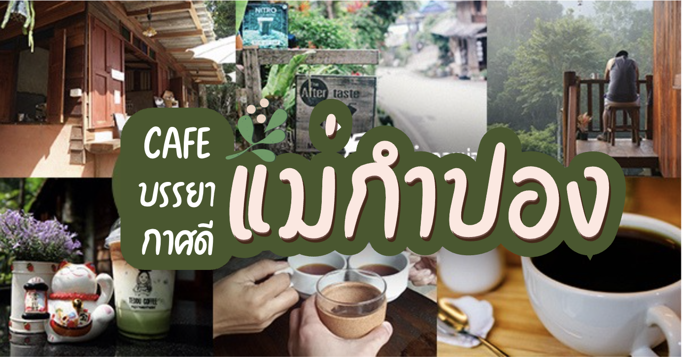 10 ร้านคาเฟ่แม่กำปอง บรรยากาศดีจนต้องหลงรัก สักครั้งต้องไปเช็คอิน พิกัดอ.แม่ออน